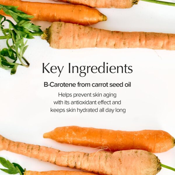 SKINFOOD Carrot Carotene Calming Water Pad 250g (8.81 oz.) 60 Sheets - Image 3